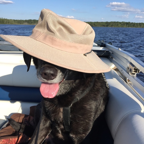 Meet your Posher, Debbie - Picture 3 of 3